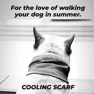 Cooling Dog Scarf - Dolce Dog