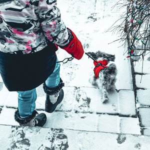 Leash Mitten